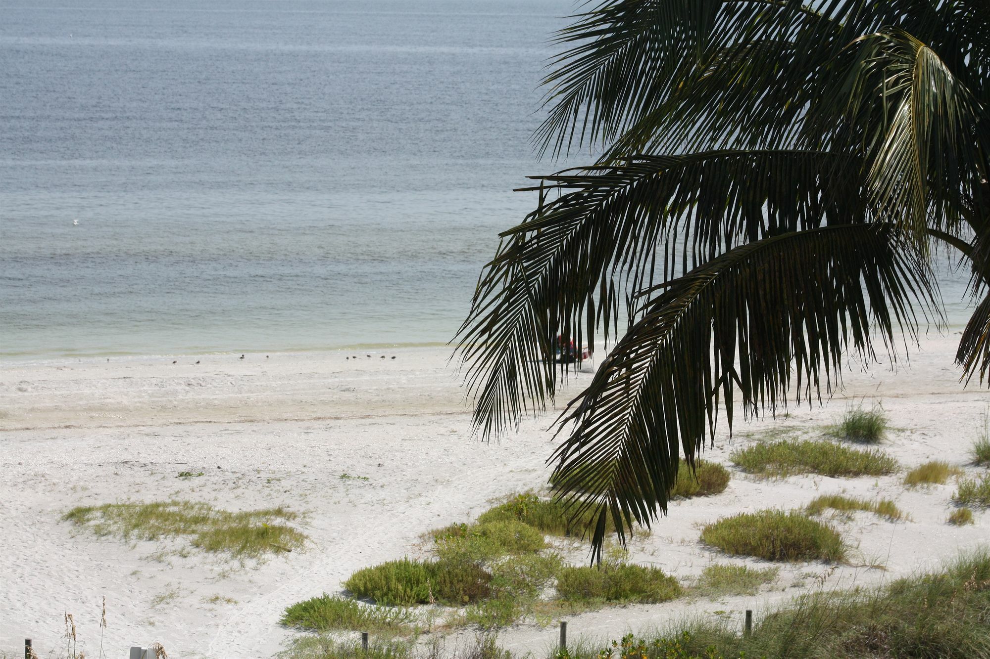 Aparthotel Ocean'S Reach Sanibel Zewnętrze zdjęcie
